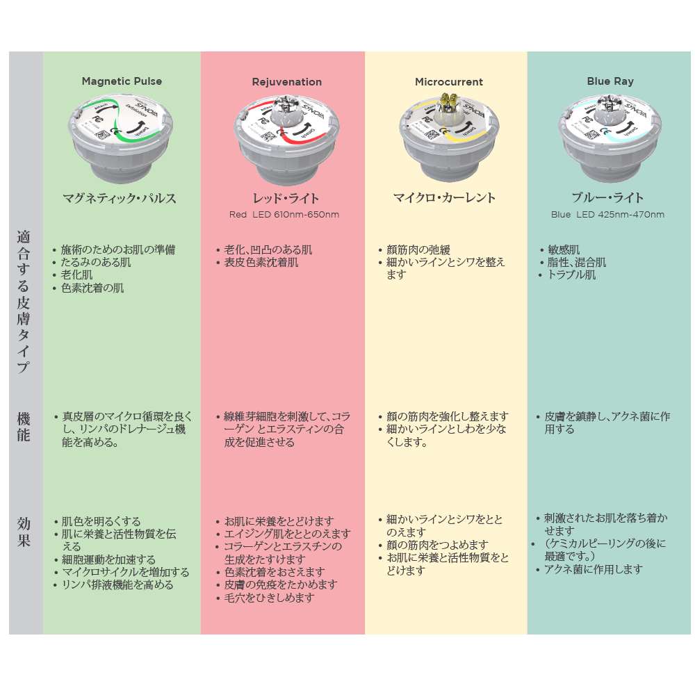 Jap_TechnologyHeads