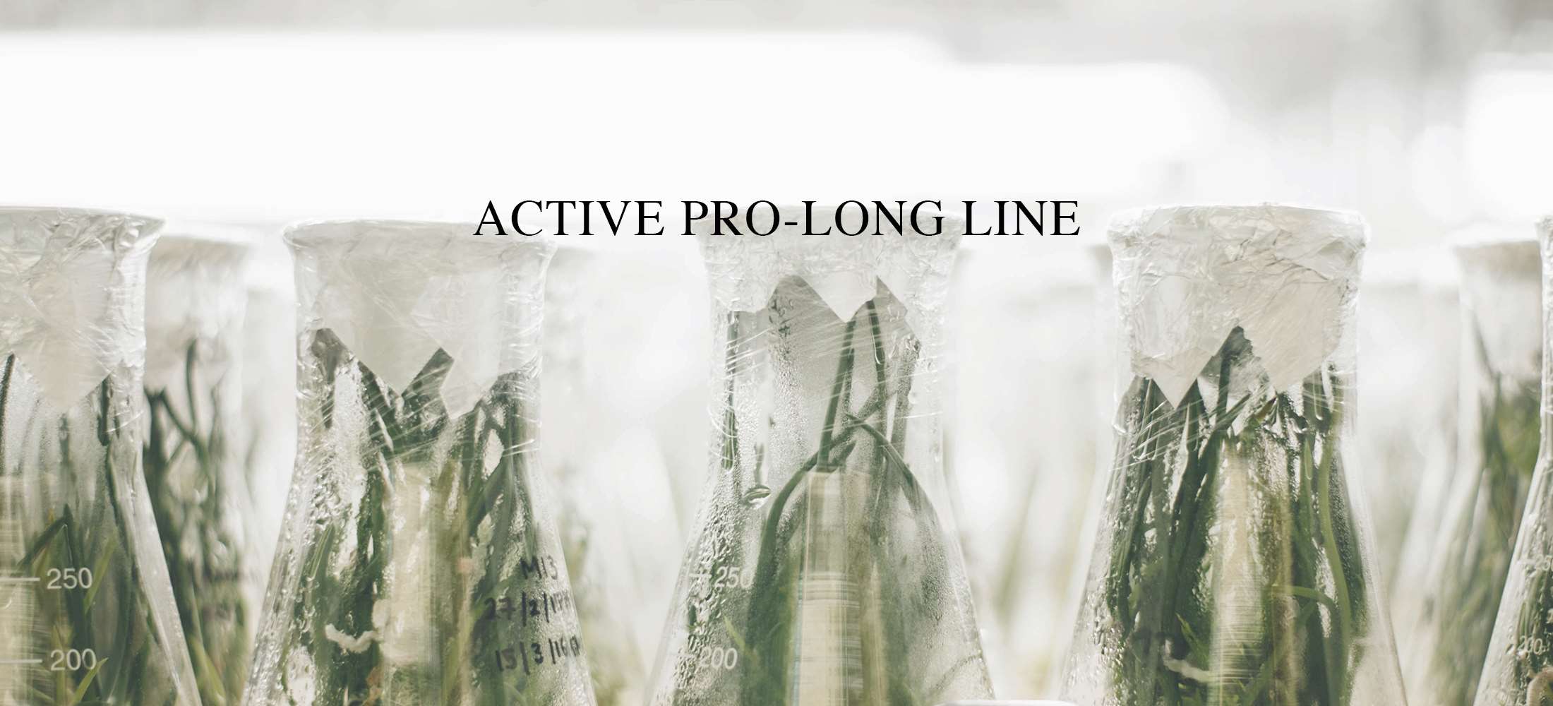 eng_capsule_APL