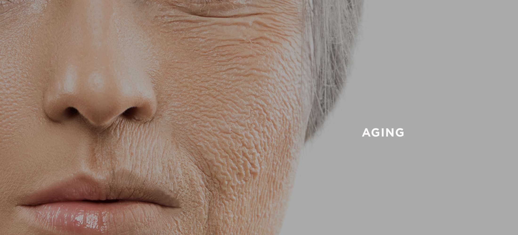eng_treatment_concerns_aging